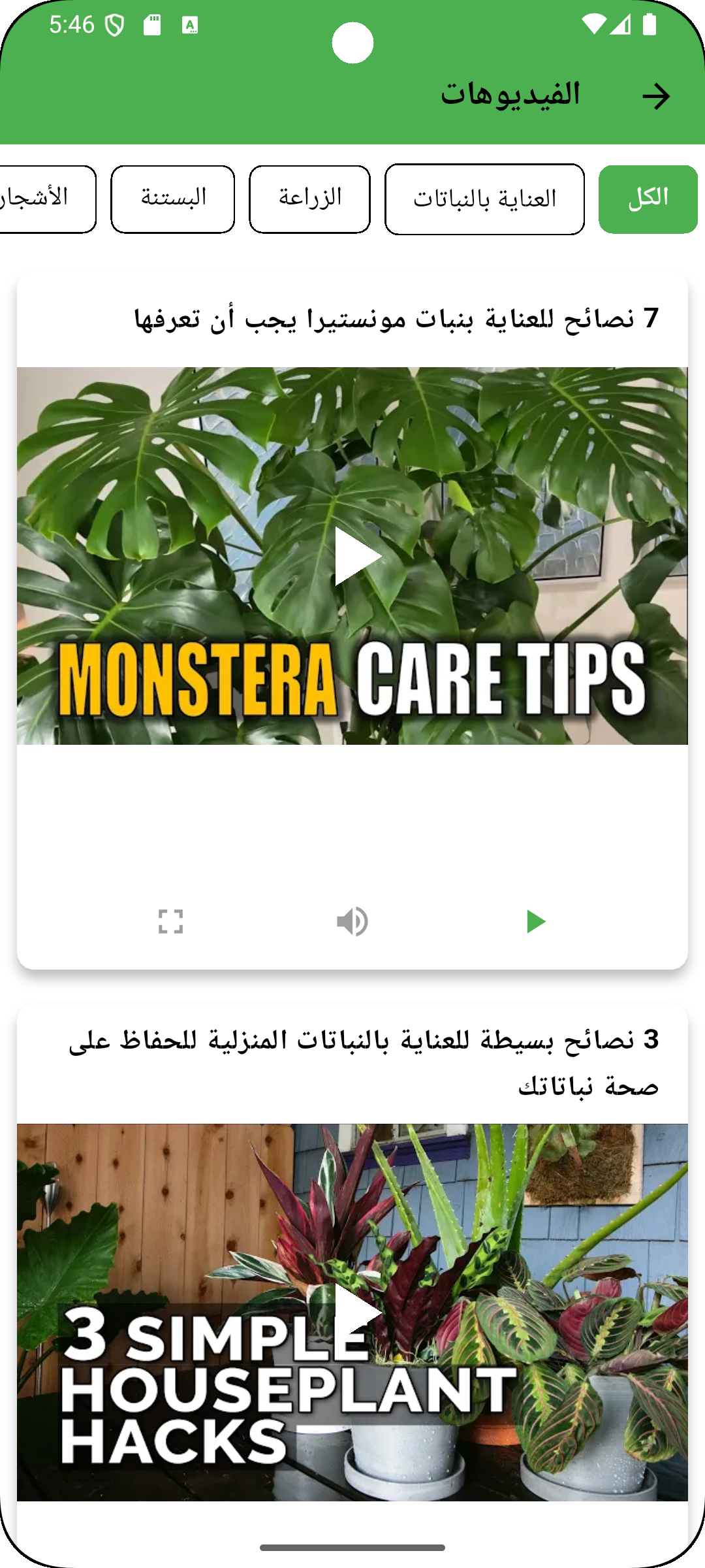 Saudi Marj
